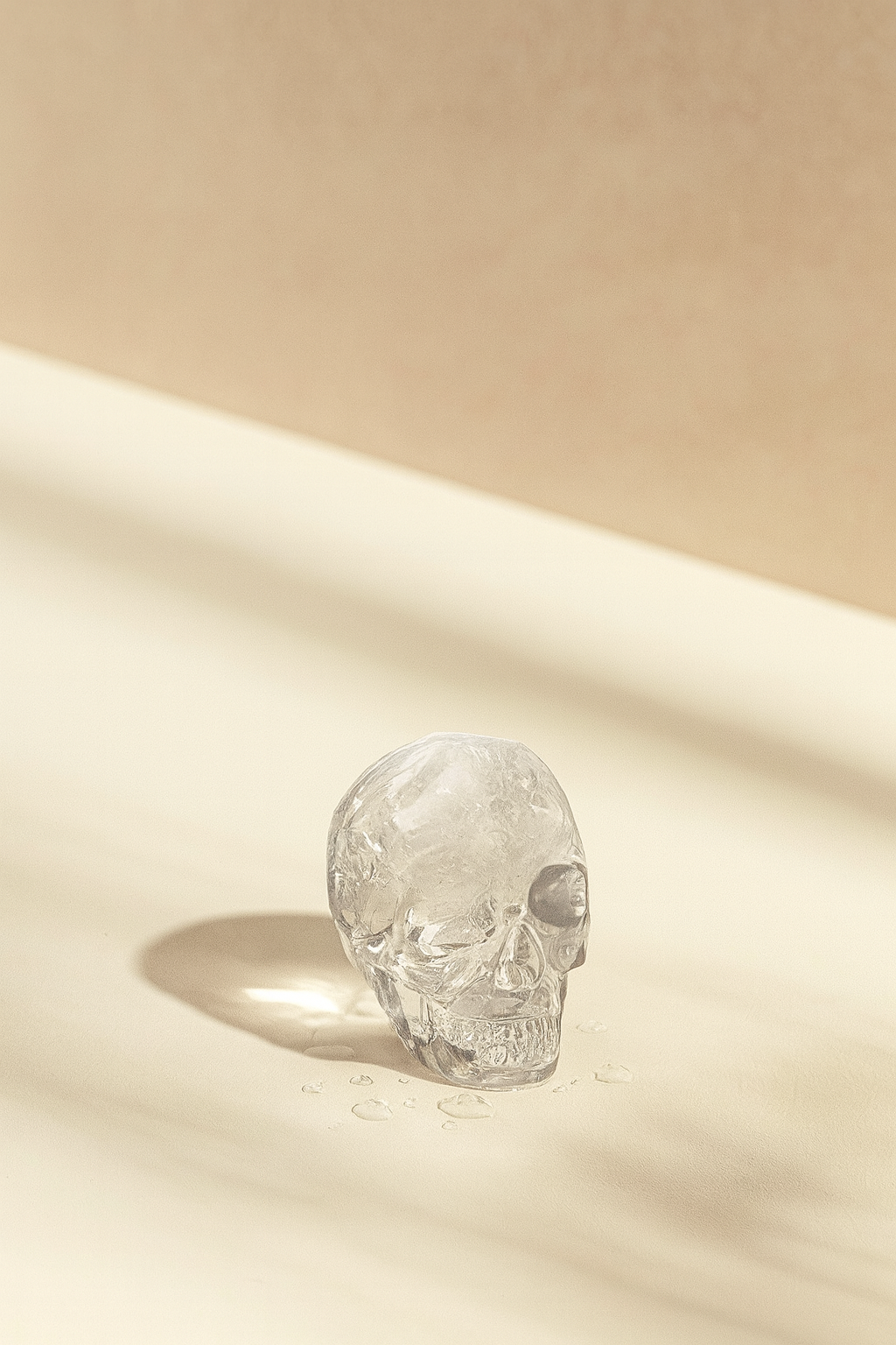 Skull Ice Tray