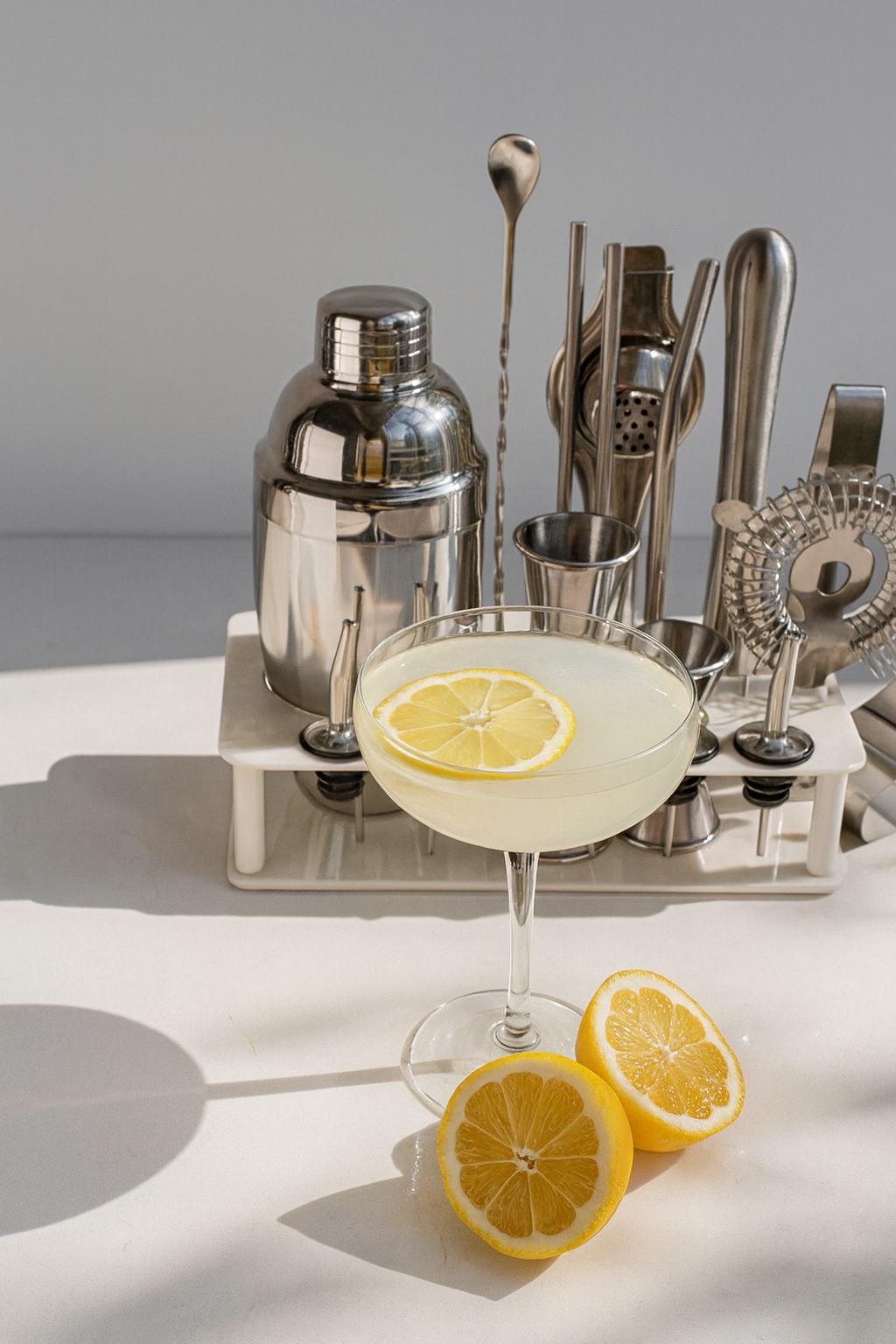 12 Piece Cocktail Set