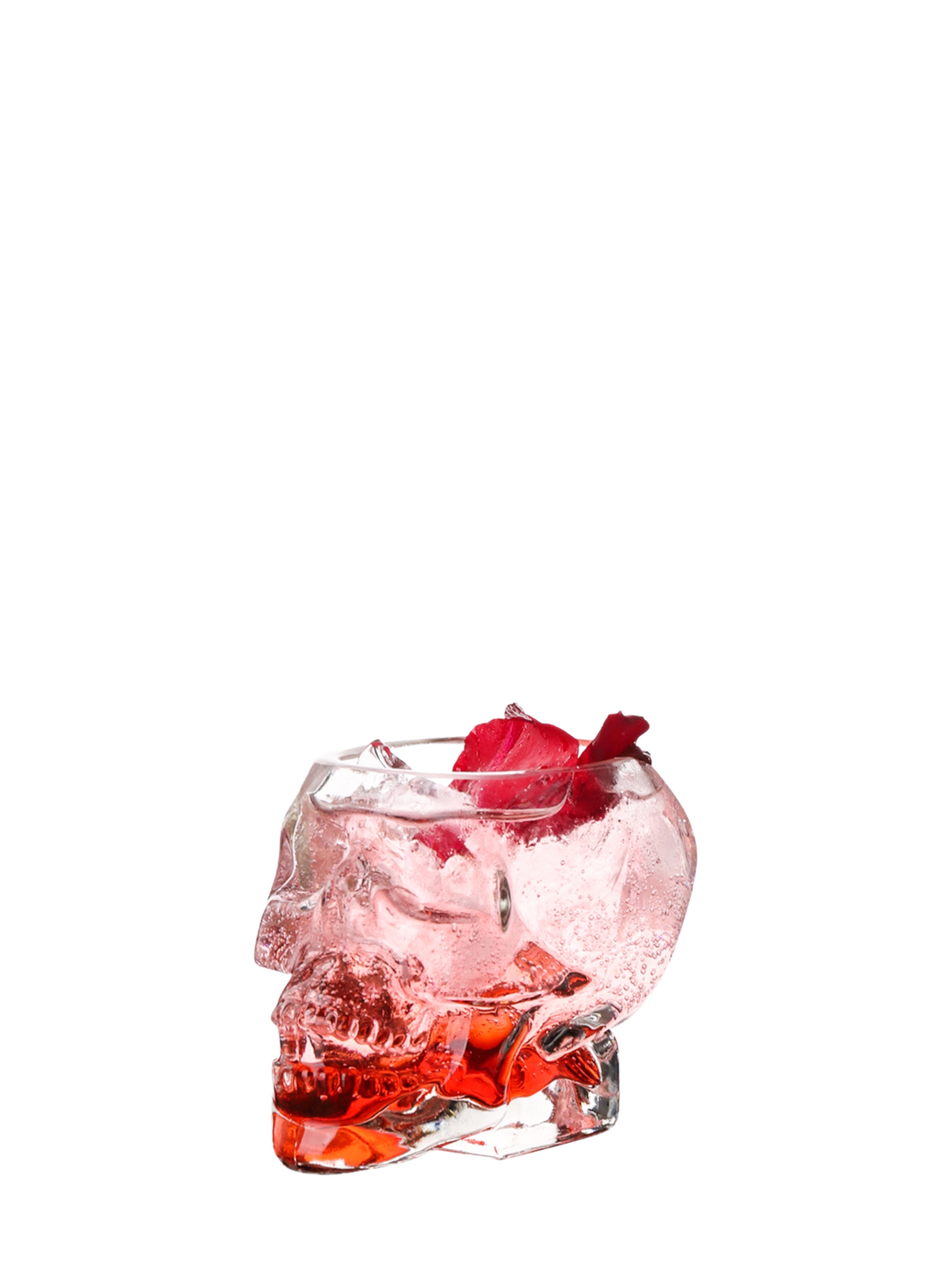 Skull Glass Set